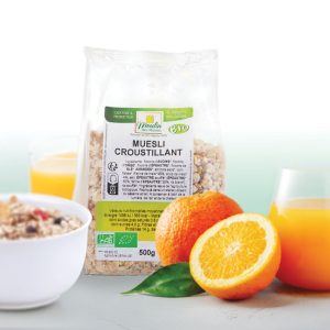 muesli croustillant bio aux fruits des bois